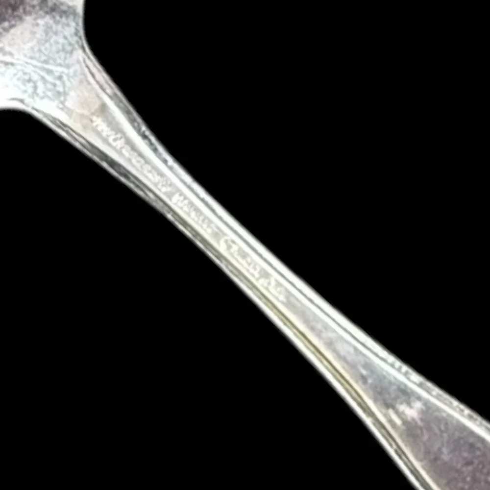 Oneida Twilight 1881 Rogers Stainless Flatware Serving‎ Spoon 8 1/2